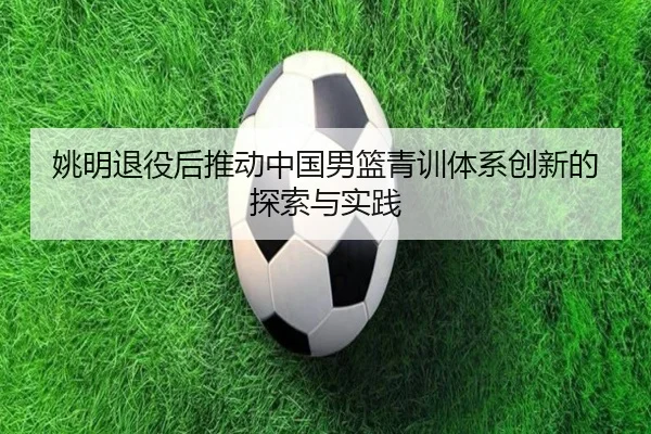 姚明退役后推动中国男篮青训体系创新的探索与实践